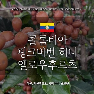 [생두]콜롬비아 핑크 버번 허니 옐로우 후르츠 1kg