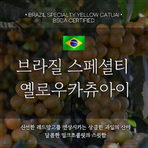 [원두]브라질 스페셜티 옐로우카츄아이