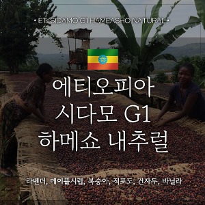 [원두]에티오피아 시다모 G1 하메쇼 내추럴