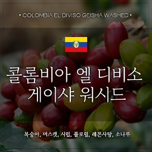 [원두]콜롬비아 엘 디비소 게이샤 워시드