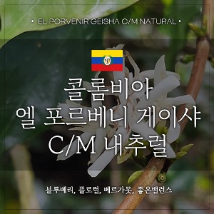 [원두]콜롬비아 엘 포르베니 게이샤 C/M 내추럴
