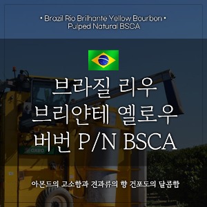 [원두]브라질 리우 브리얀테 옐로우 버번 P/N BSCA