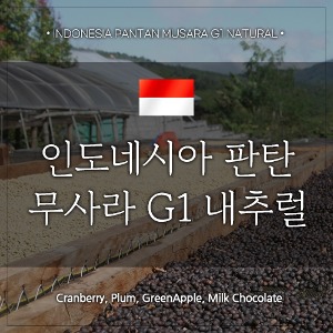 [원두]인도네시아 판탄 무사라 G1 내추럴